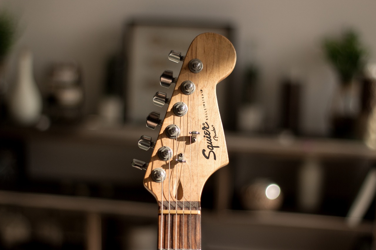 Electric Guitar - Fender Stratocaster